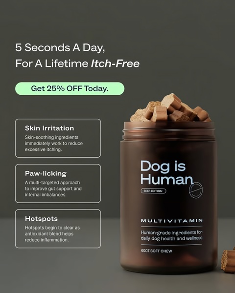 A high-contrast 4:5 ad creative for a dog multivitamin that uses a clean clinical layout to highlight three specific pet health benefits.